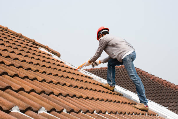 Best Green or Eco-Friendly Roofing Solutions  in Robbinsdale, MN