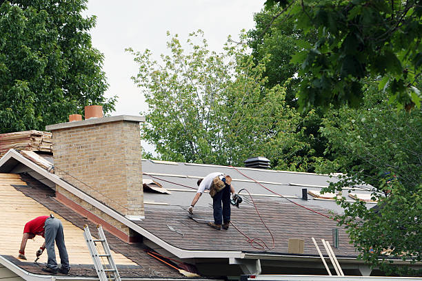 Best Roof Ventilation Installation  in Robbinsdale, MN